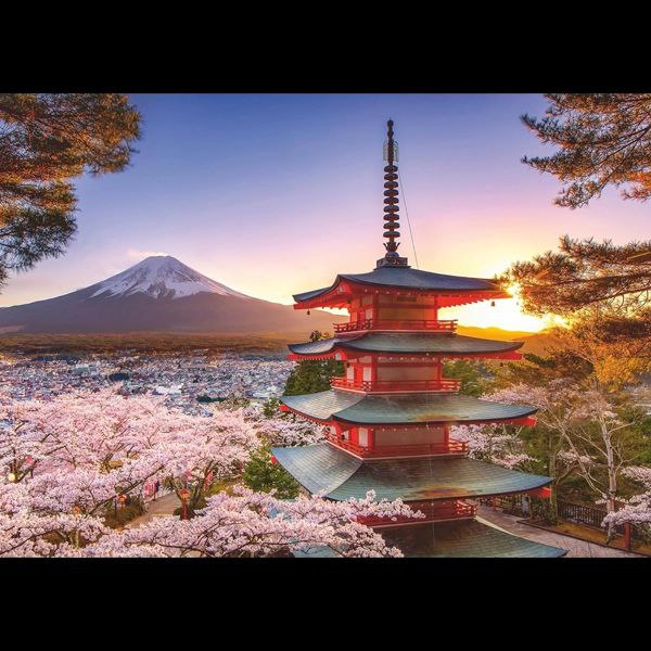 photo_3_2025-04-08_00-04-25